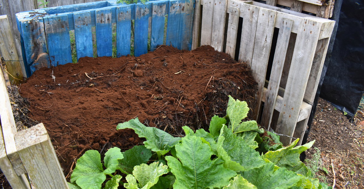 compost with fruit waste